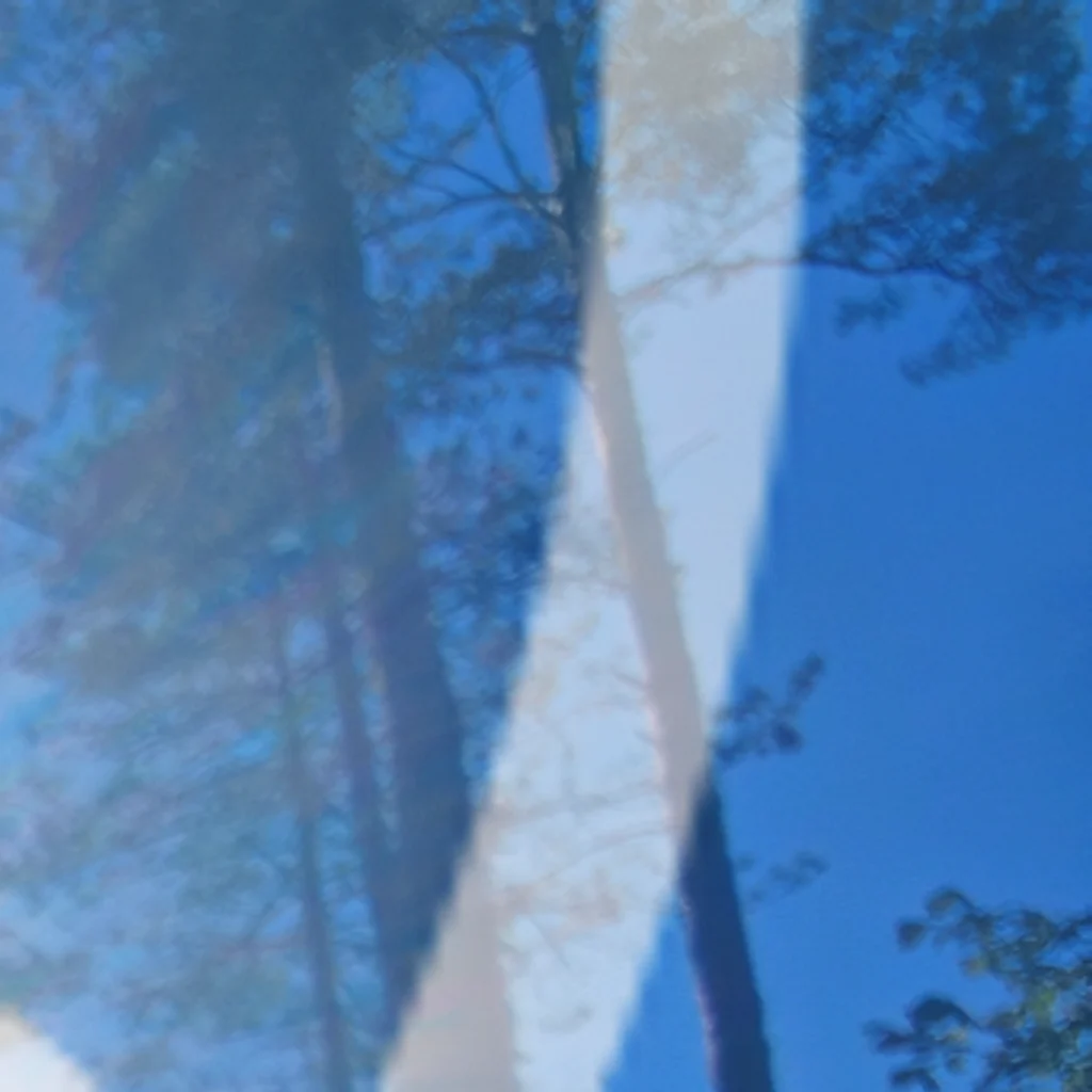 Forêt — test — Bloc 6-8
