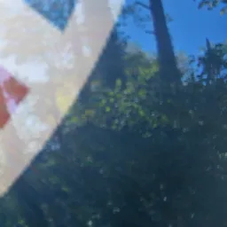 Forêt