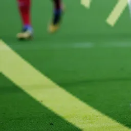 Foot