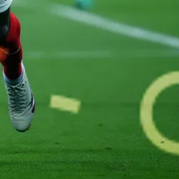 Foot